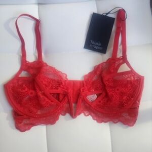 New Thistle and Spire Scarlet Lace Bra, Size 32D